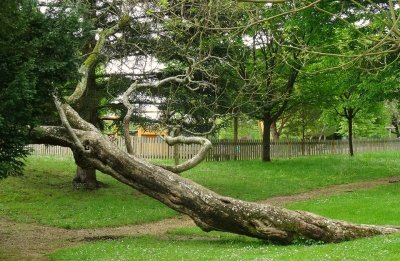 Parc communal Bardet à La Roche-Posay