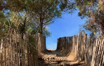 PLAGE DE LA TAMARISSIÈRE