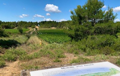 LE BOIS DE LA VALLONGUE