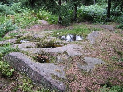 Circuit VTT à la Porte des Vosges - n°1
