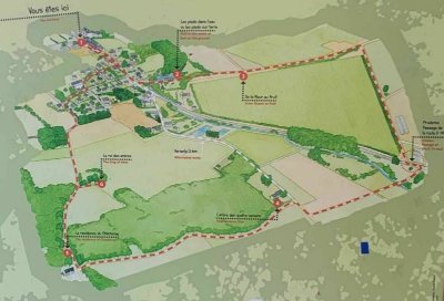 Bauné - La Ronde des Arbres