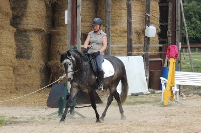 L'écurie des cordeliers