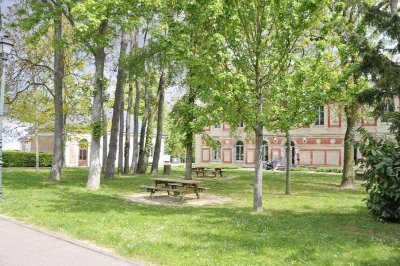 Parc du château des Celestins