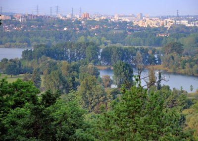 Jardin du Belvédère