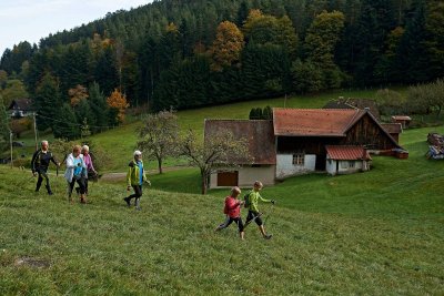 Parcours de marche nordique du Colbéry : vers le chemin forestier de St. Oury