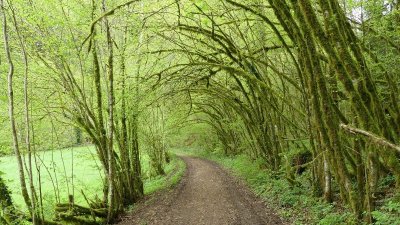 Les Narines du Diable