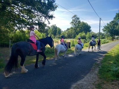 Balades à cheval et autres activités équestres de loisirs avec le centre équestre "Les Chevaux de la Rosière"