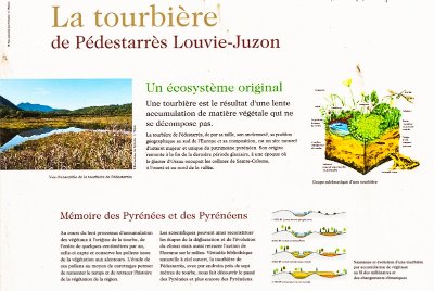 Sentier de la tourbière de Pédestarrès