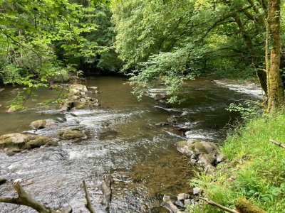 Boucle des Coteaux de L'Auvezère