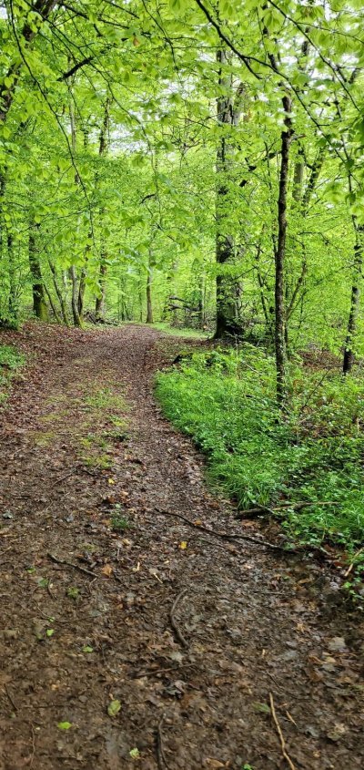 Balade Verte - Balade Vaudebarroise (VAU 1)
