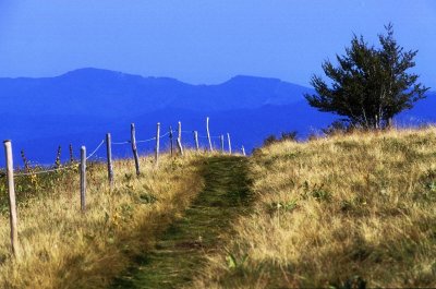 Circuit rando D10 : Au départ du Col de Prayé