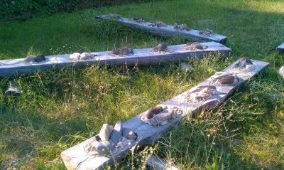 Le sentier des castors