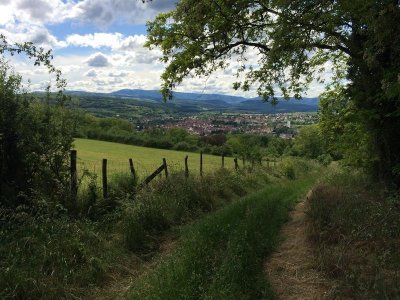 Circuit de la Sommerau - Marche nordique