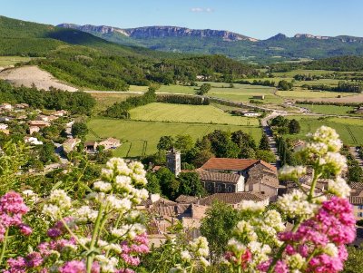 Sur les pas d'Adèle