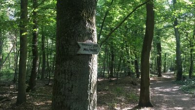 Le grand circuit de Stocklach