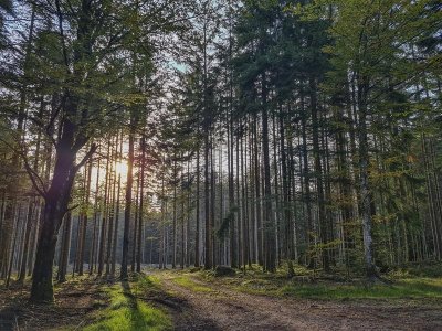 Circuit pédestre - La Cascade de la Crache Croix Brignon