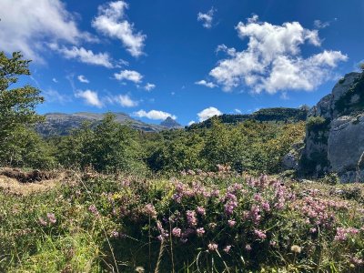Espace nordique de La Pierre Saint-Martin en été