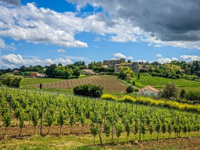 La Transversale : Castillon-la-Bataille à Blasimon
