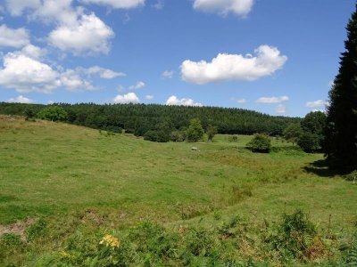 Circuit des 12 sources