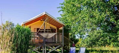 Variante du Lyssandre à l'Engranne