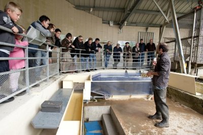 Observatoire Piscicole des Claies de Vire