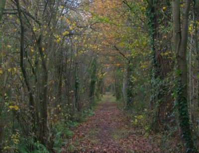 Entre Seine et Terre
