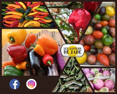 Les Saveurs de Jade- Production d'Agrumes