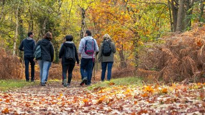 Circuit de randonnée : De Loire en forêt