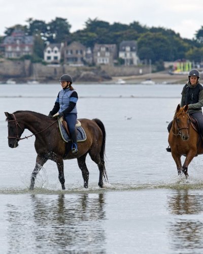 Écurie des Rosières