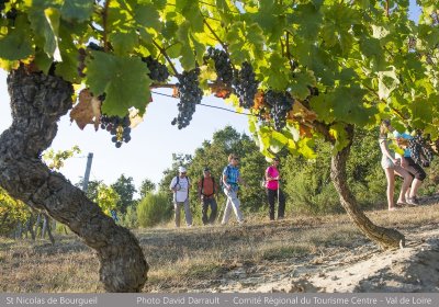 Circuit patrimoine "Dans les vignes du marquis"
