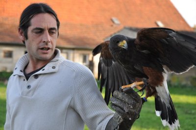 Balade avec les rapaces de Davy Lacroix