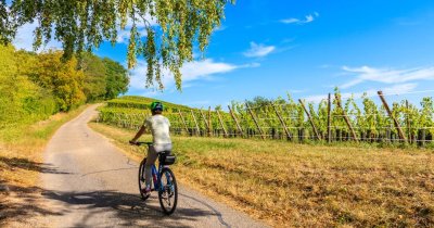 Circuit de randonnée Les Verchers-sur-Layon : La butte d'Argentay