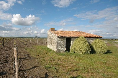 Circuit de randonnée : De bois en vigne et lavoirs - Variante