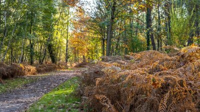 Circuit VTT de Vernantes