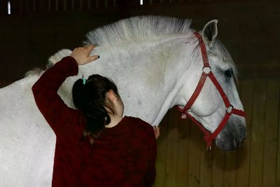 EQUICOACHING AU DOMAINE DES ECUYERS