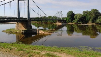 Circuit de randonnée Les Rosiers sur Loire : L'Ile Ollivier
