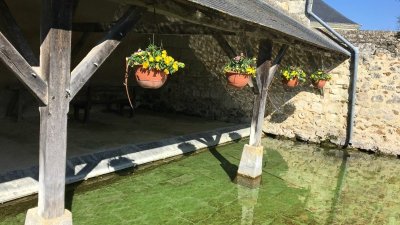 Circuit de randonnée : Entre vigne et forêt - Variante