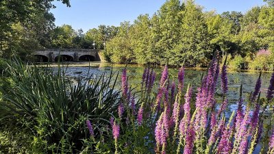 Circuit de randonnée : Entre Vigne et Charbon