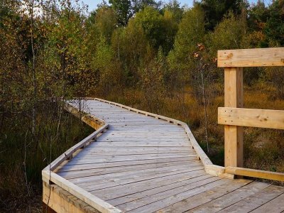 Tourbière de la Demoiselle