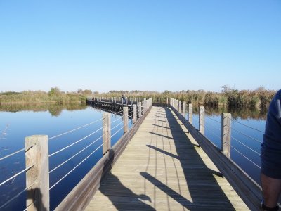 ETANG DU MÉJEAN / ETANG DE PEROLS