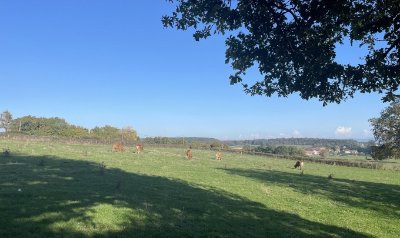 Autour de Champs des Bois