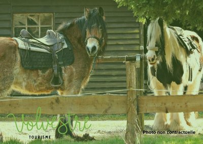 LES ECURIES DU CARROUS'AILE