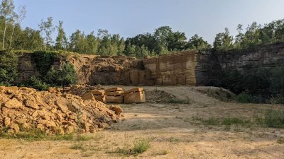 Ancienne carrière de pierres de Dom le Mesnil
