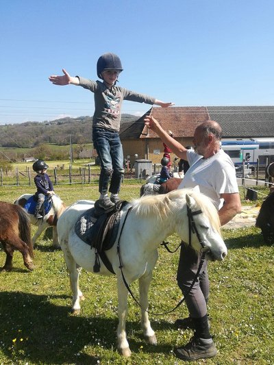 Ferme pédagogique - Les poneys de la Durme