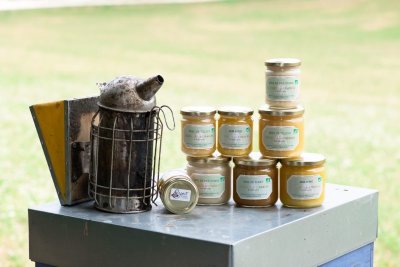 Visite immersive aux Ruchers de Darbois