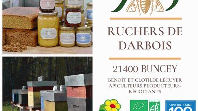 Visite découverte aux Ruchers de Darbois