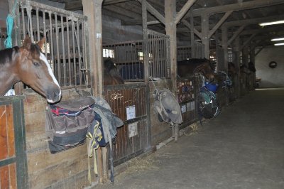 CENTRE EQUESTRE DU BOSQUET