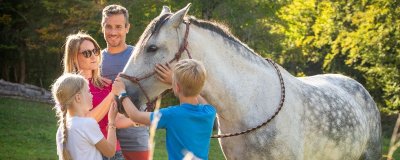 Les chevaux d'Edoras