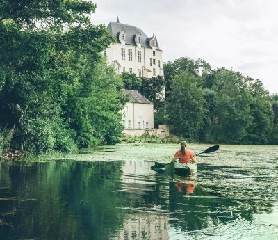 Jeu Vidéo : Alpaca Ball : Allstars