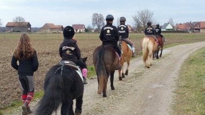 Balade à cheval et poney - Au petit bonheur du Ried